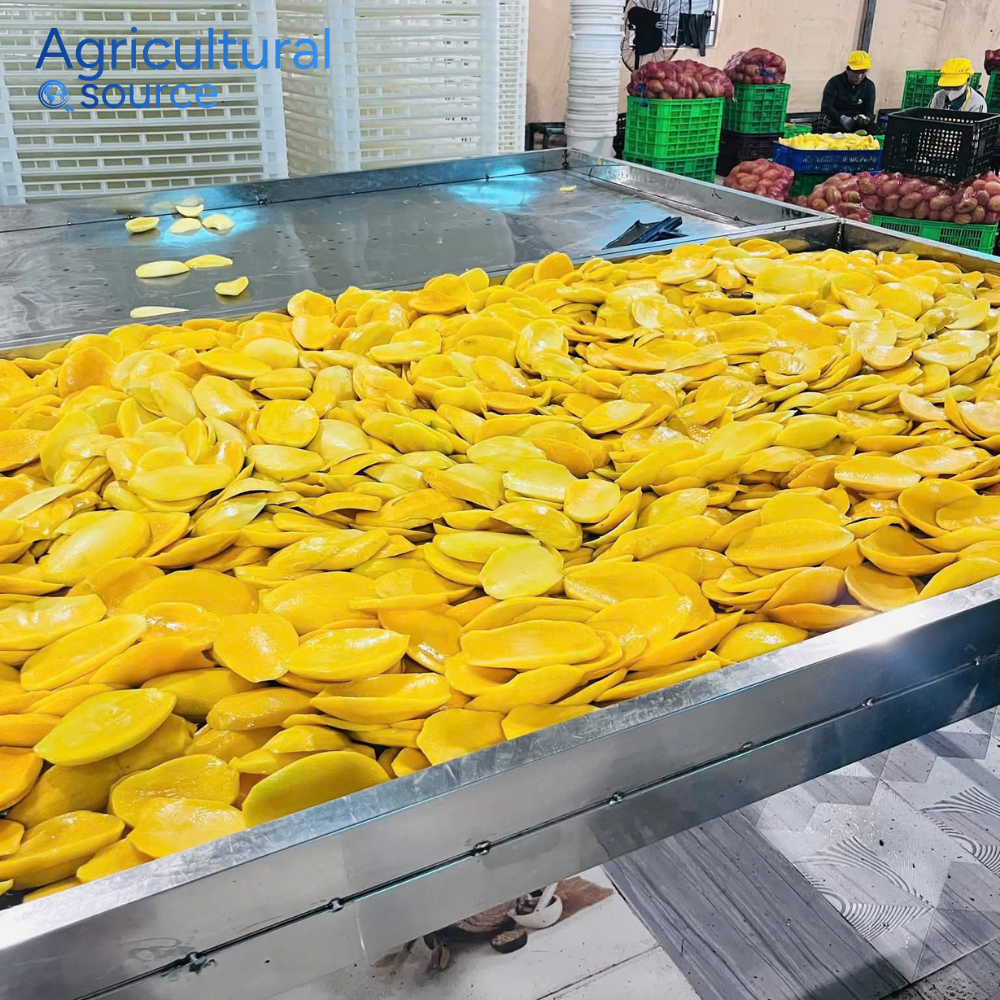 VIET NAM SOURCE SOFT DRIED MANGO - Image 4