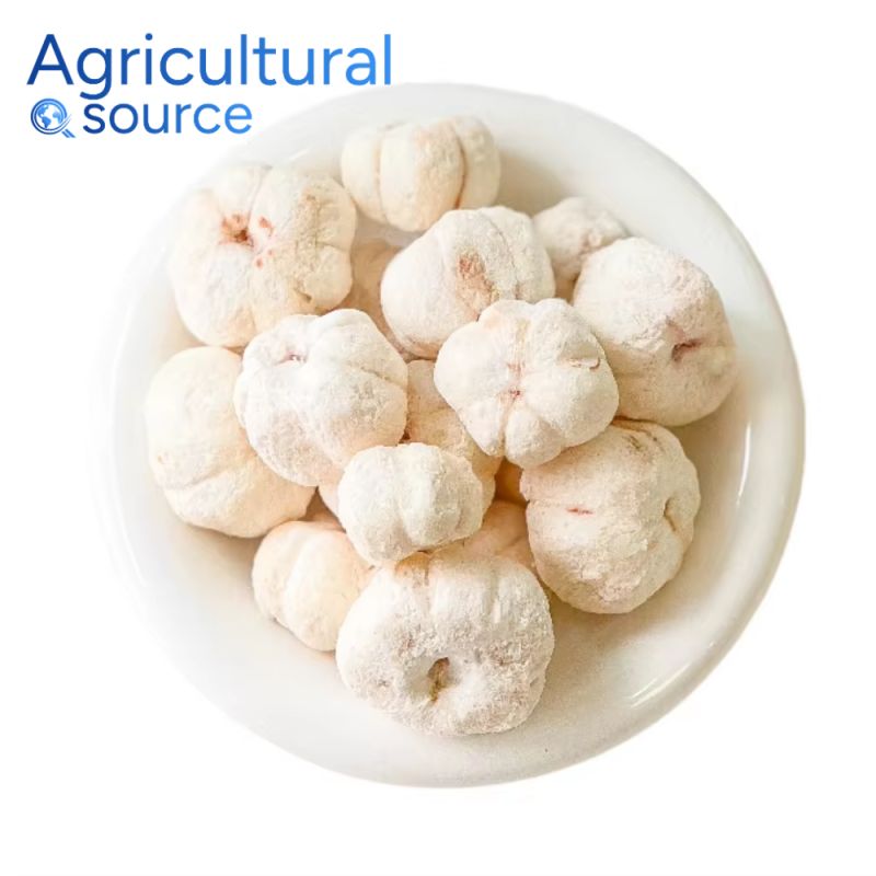 Freeze Dried Mangosteen – Premium Tropical Fruit by Viet Nam Source - Image 4