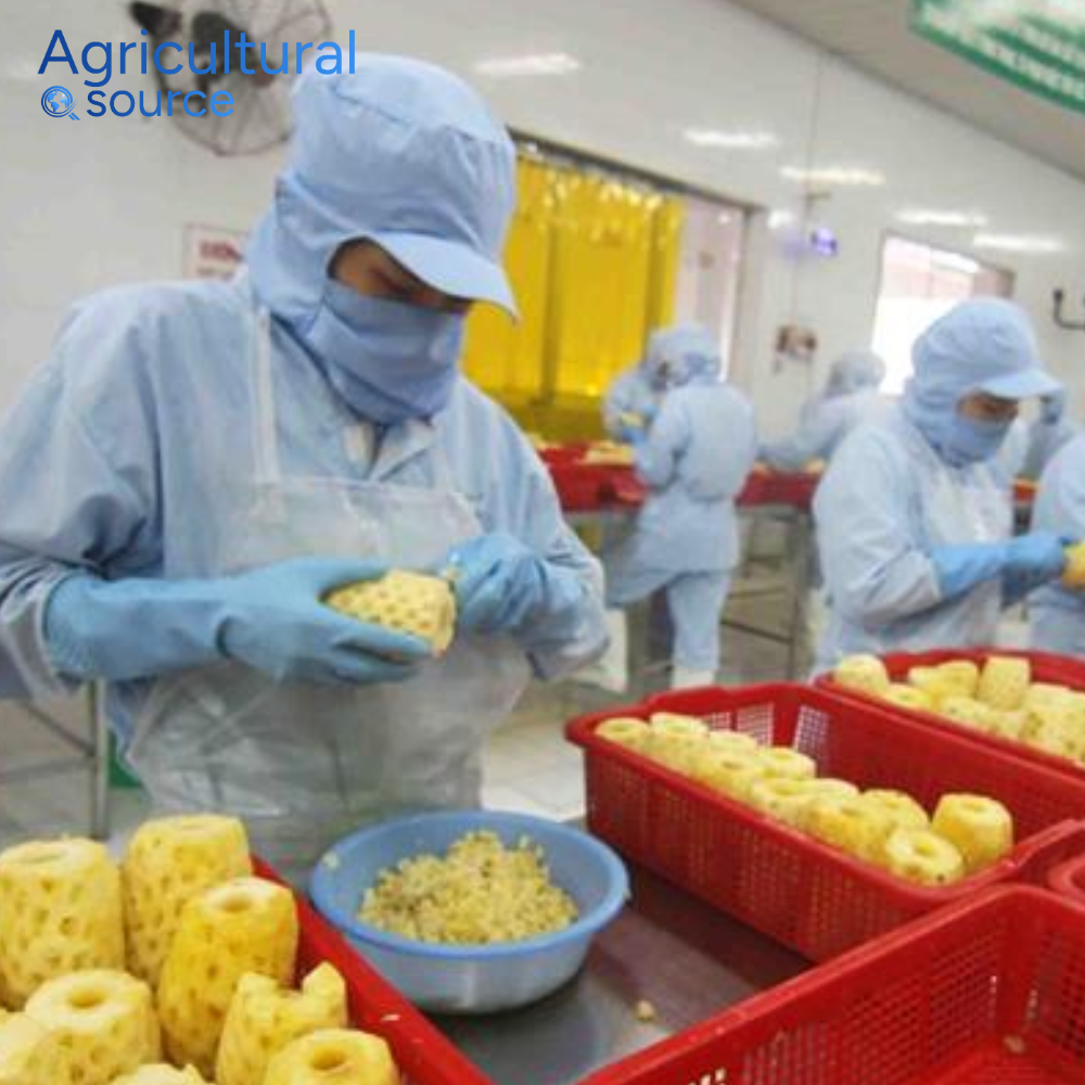 High Quality Viet Nam Soft Dried Spicy Pineapple with Chili - Sugar Tropical Treats - Image 6