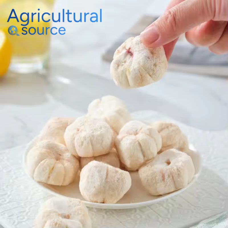 Freeze Dried Mangosteen – Premium Tropical Fruit by Viet Nam Source - Image 2