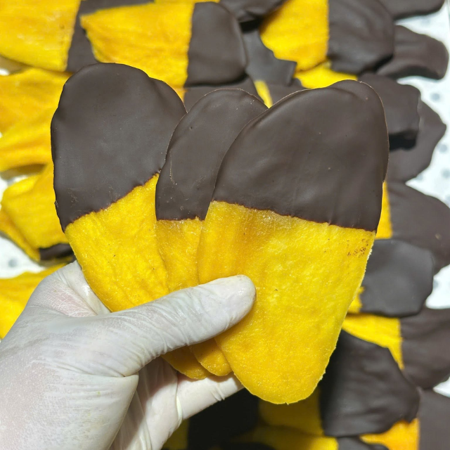Premium Dark Chocolate Coated Soft Dried Mango | OEM/ODM from Vietnam Factory