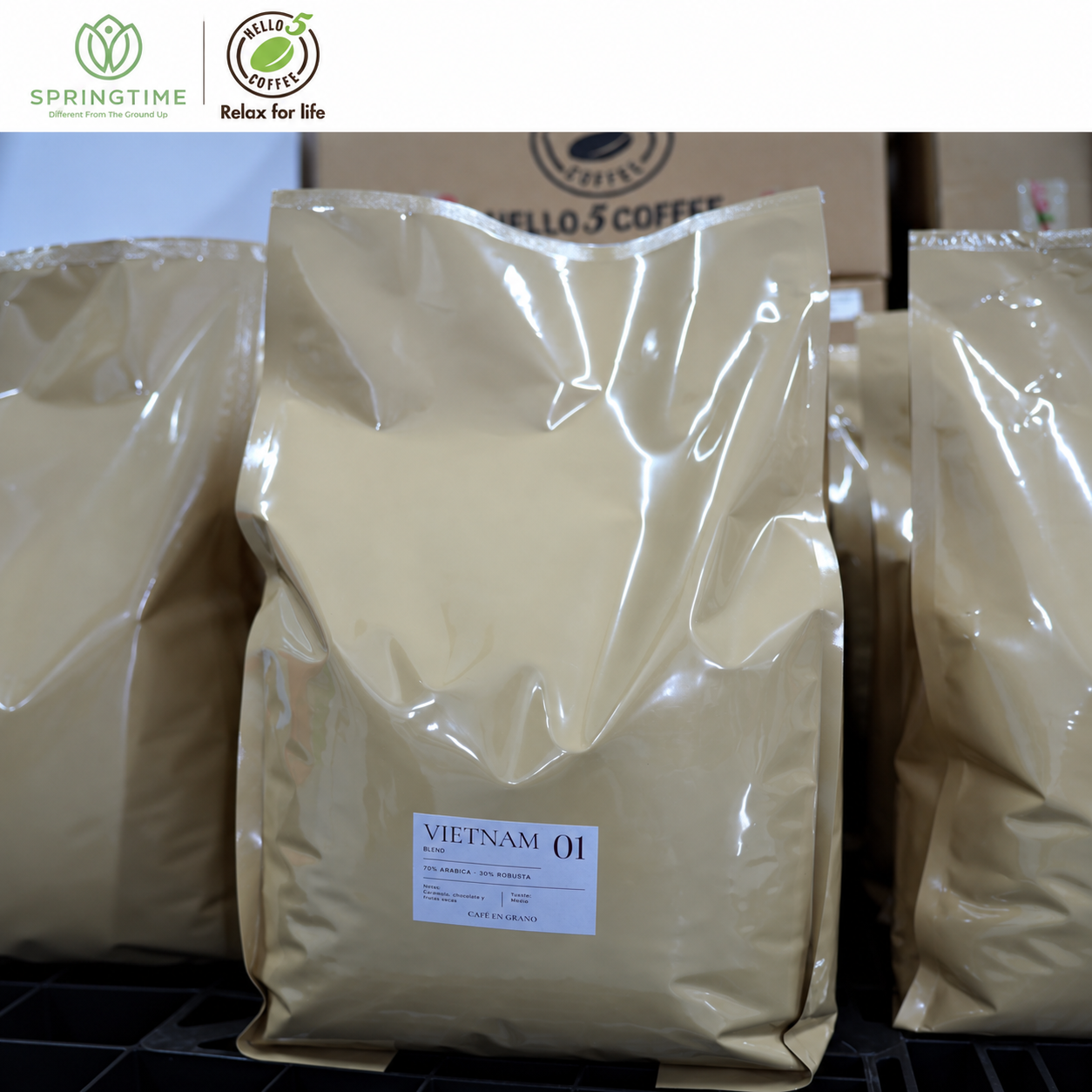 Premium Vietnam Robusta Coffee Beans - Image 4