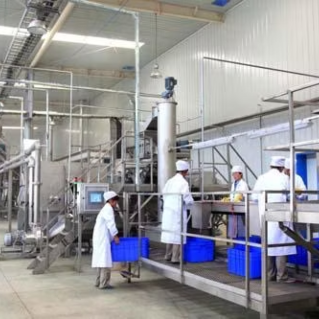 Premium Vietnamese Crispy Taro Chips Manufacturer | OEM/ODM Private Label - Image 5