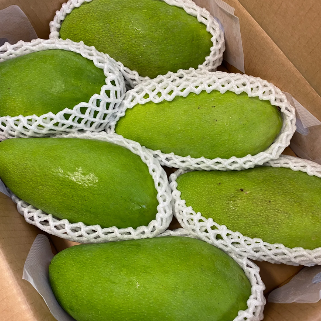 Fresh Elephant Mango  - Image 2