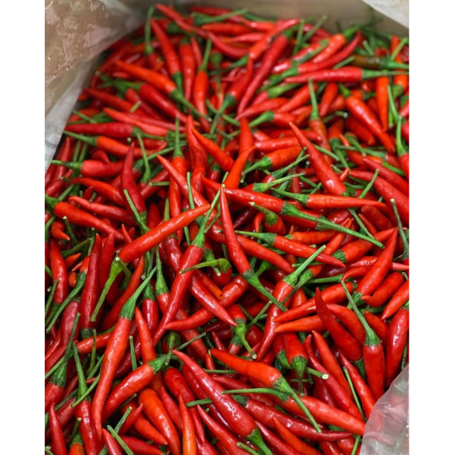 Fresh Red Chili - Image 3