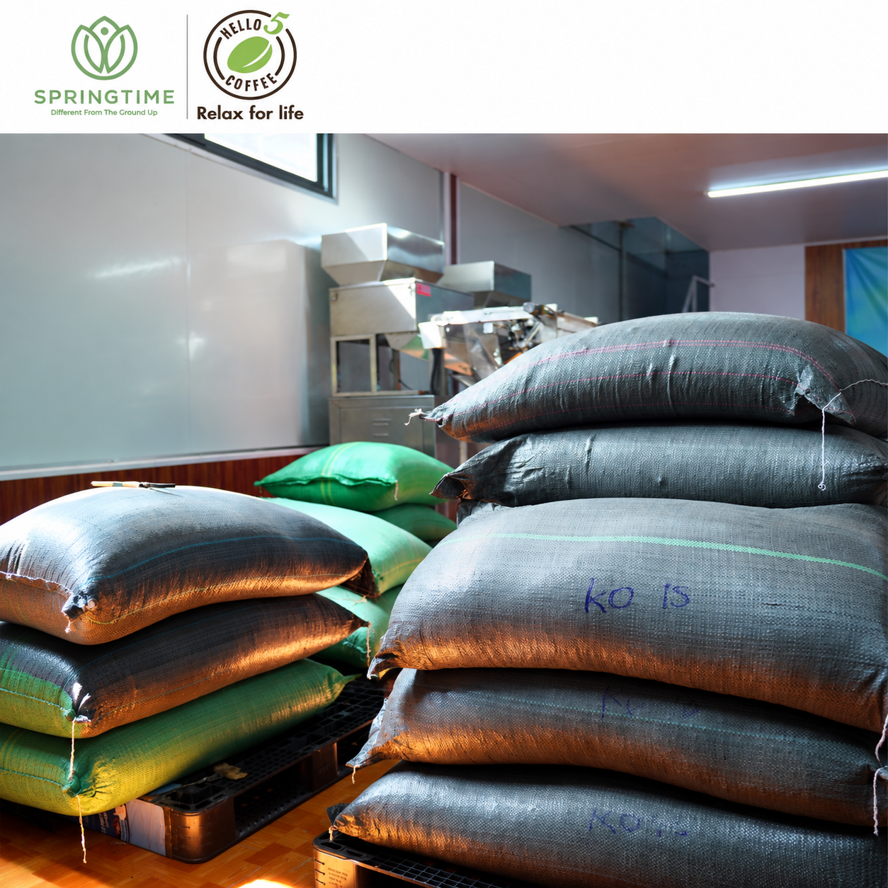 Hello 5 Coffee Premium Vietnamese Energy Robusta Coffee Powder - Image 4