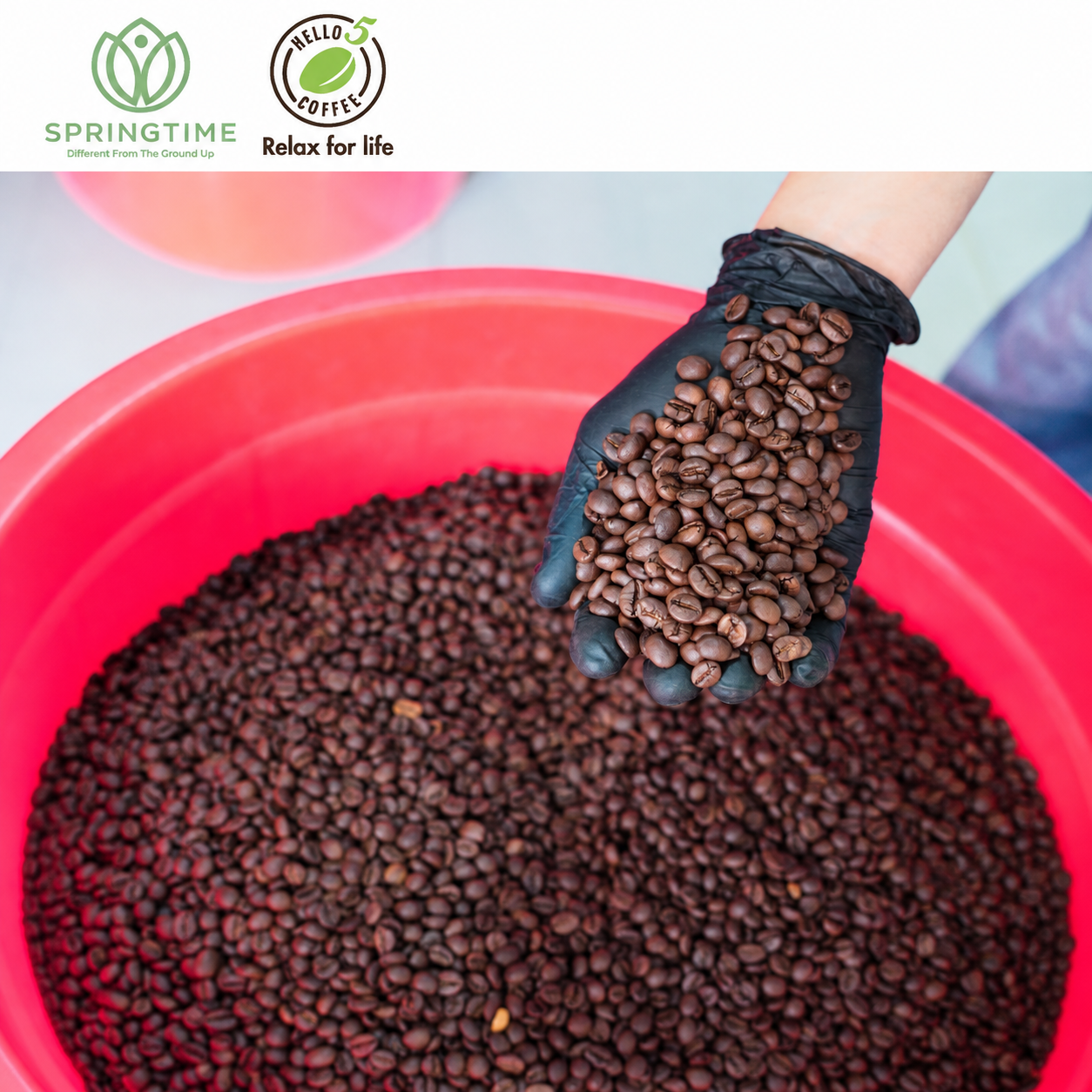 Premium Vietnam Robusta Coffee Beans - Image 2