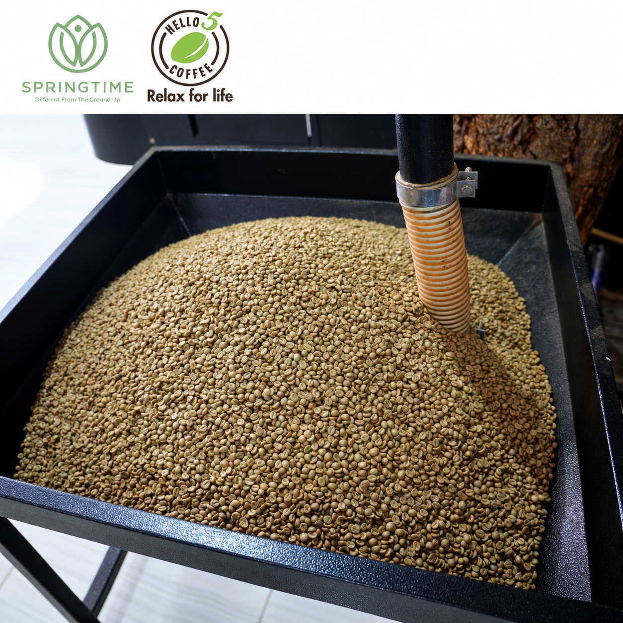 Hello 5 Coffee Premium Vietnamese Energy Robusta Coffee Powder - Image 3