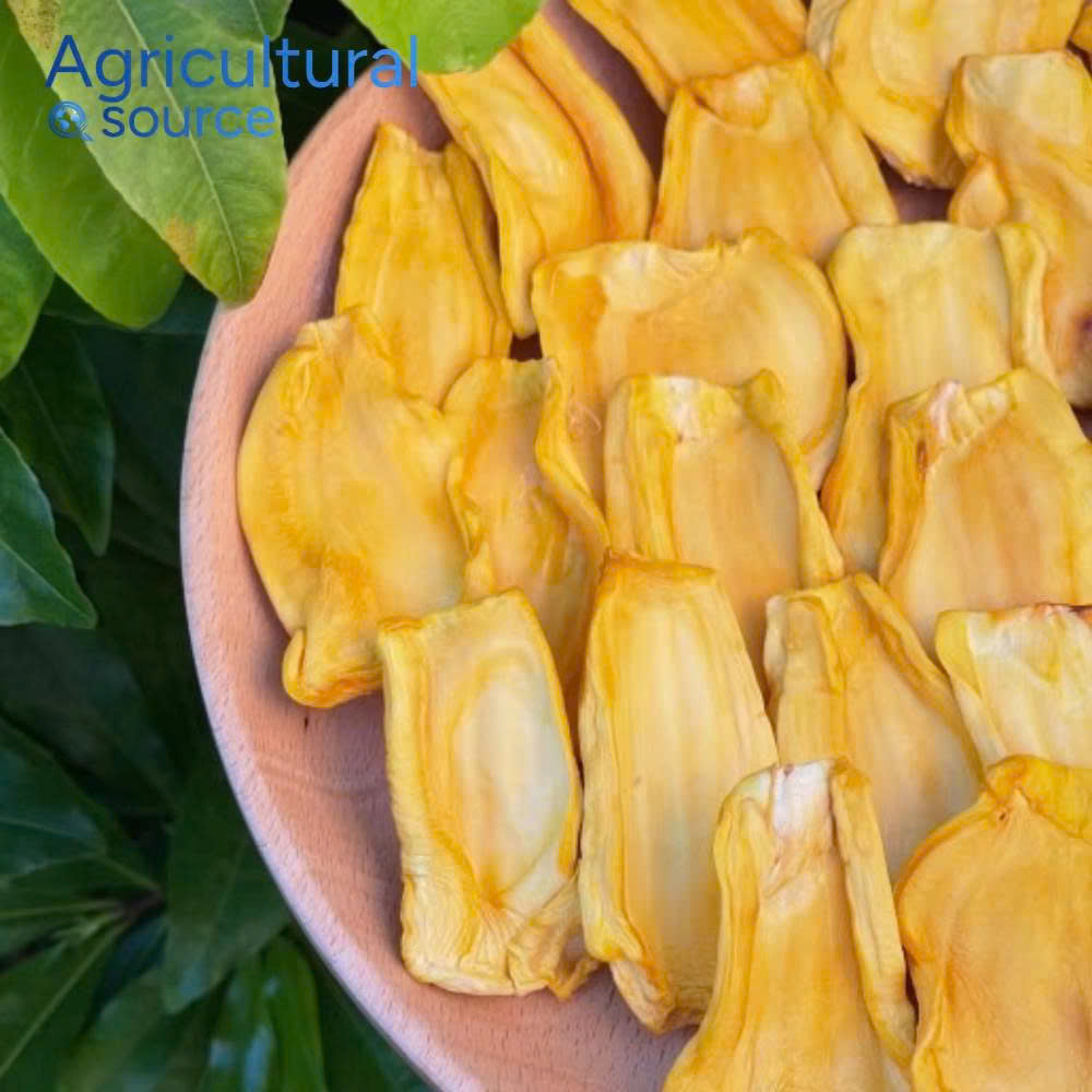 Chewy textured soft dried jackfruit, low sugar, healthy snack - Organic dried jackfruit producer - Dried jackfruit deal