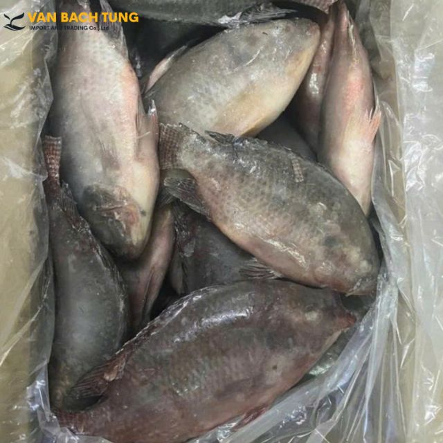 Vietnamese Dried Salted Tilapia - Image 3