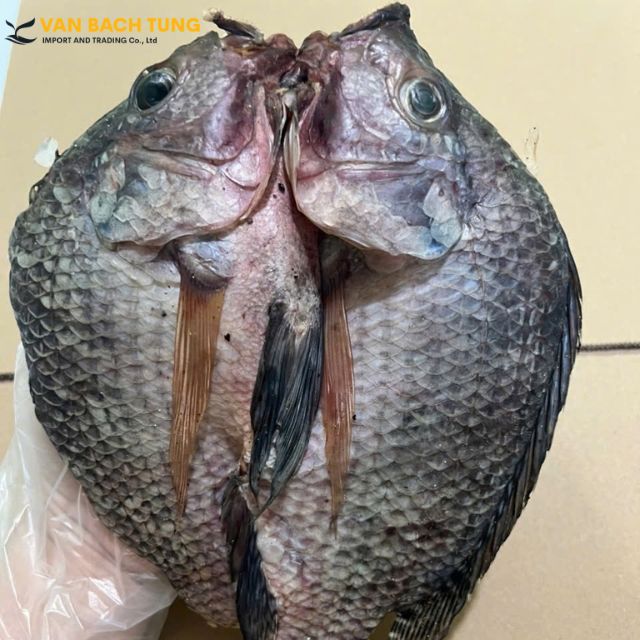 Vietnamese Dried Salted Tilapia