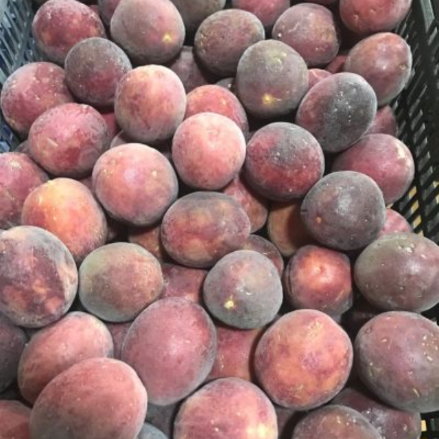 Whole IQF Frozen Passion Fruit