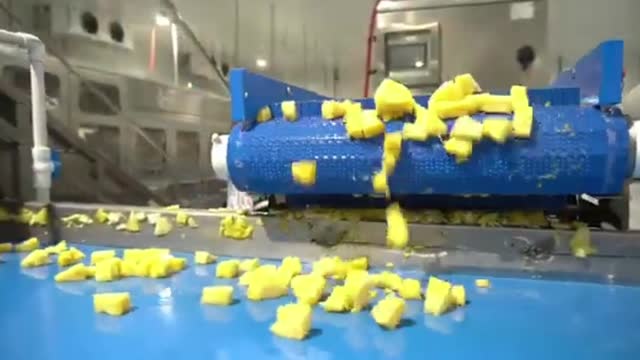 Top Grade Vietnam Frozen Pineapple Supplier Wholesale Export High Quality Reliable Frozen Pineapple - Video thumbnail