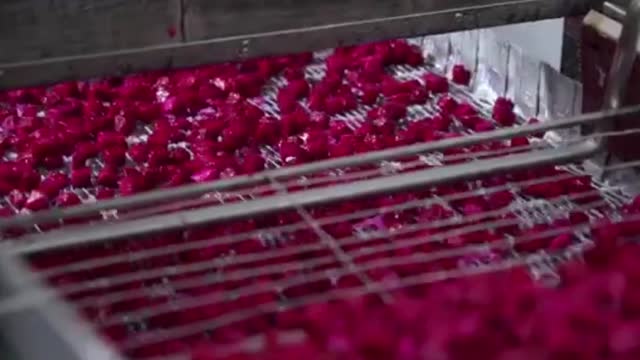 IQF WHITE DRAGON FRUIT FROM VIET NAM SOURCE - Video thumbnail