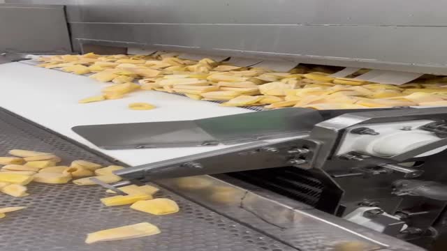 IQF JACKFRUIT FROM VIETNAM SOURCE - Video thumbnail