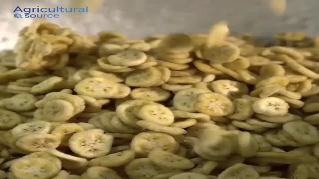 Vacuum Fried Banana Chips – Crispy, Low Oil, Natural & Healthy | Vietnam Exporter & Trusted Wholesale Supplier - Video thumbnail