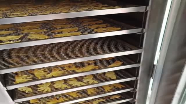 Premium Freeze-Dried Pineapple from Vietnam – Natural Healthy Snack for Global B2B Buyers - Video thumbnail