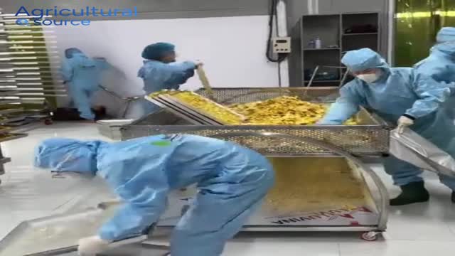 Vietnam Freeze Dried Longan Manufacturer – OEM ODM Private Label Factory – Bulk Supply for Global Export - Video thumbnail