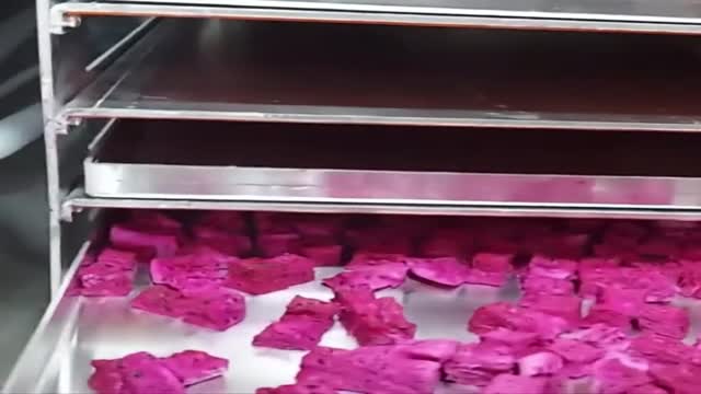 Premium Freeze Dried Red Dragon Fruit Cubes & Slices – Natural Crispy Pitaya Snack | Vietnam OEM Supplier, No Additives - Video thumbnail
