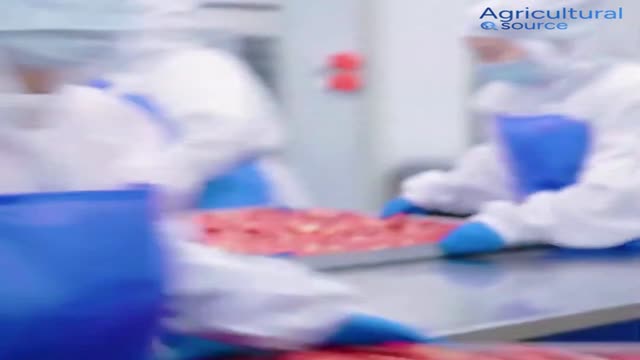 Vietnam-Manufactured Premium Freeze-Dried Strawberries – OEM/ODM Private Label Available, 100% Natural, Bulk Supply for Business - Video thumbnail