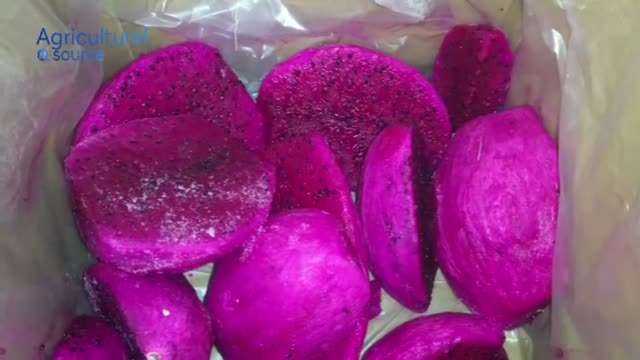 Premium Quality IQF Frozen Red & White Dragon Fruit - Best Price Frozen Direct From VietNam Factory - Export Quality Global GAP  - Video thumbnail