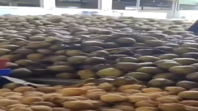 High Fat Desiccated Coconut  - Video thumbnail