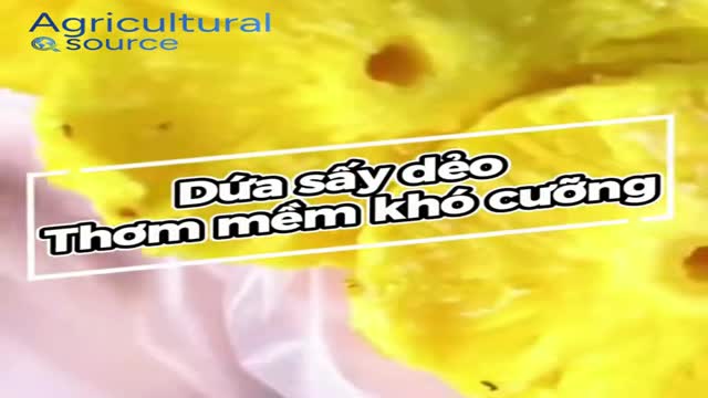 High Quality Viet Nam Soft Dried Spicy Pineapple with Chili - Sugar Tropical Treats - Video thumbnail