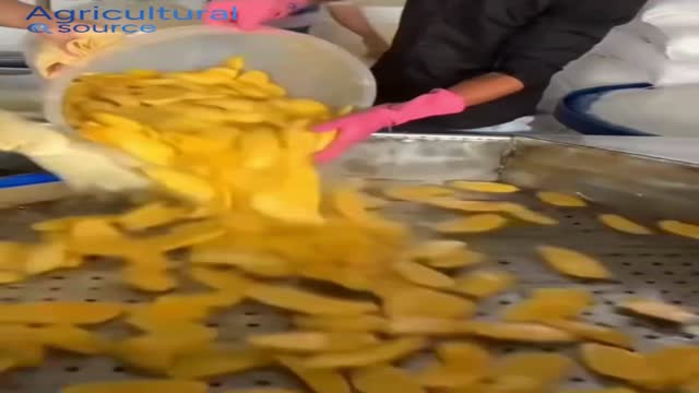 VIET NAM SOURCE SOFT DRIED MANGO - Video thumbnail