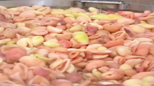 Soft Dried Passion Fruit Strips from Vietnam Factory – Premium Quality OEM ODM Reliable Manufacturer for Global Markets - Video thumbnail