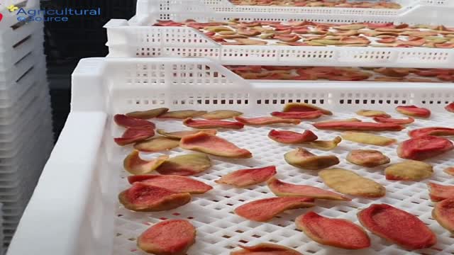 Soft Dried Guava Slices from Vietnam Factory – Premium Quality OEM ODM Reliable Manufacturer for Global B2B Markets - Video thumbnail